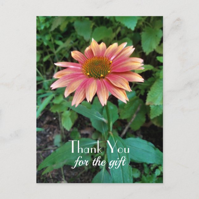 Postal Flor rosa de Zinnia, gracias con un saludo (Anverso)