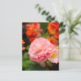 Postal Flor rosa delgada después de la lluvia