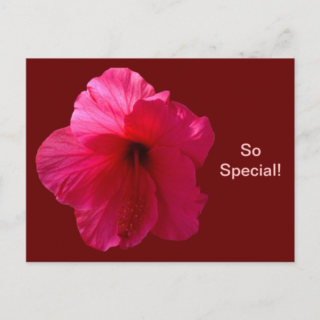 Postal Flor rosa hibiscus (Anverso)