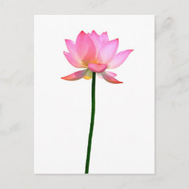 Postal Flor rosa Lotus