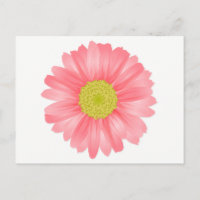 Flor rosa y amarilla de la margarita floral Gerber
