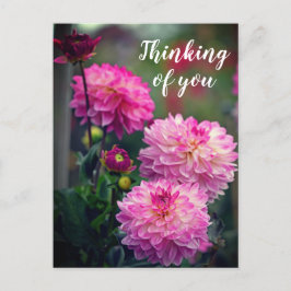 Postal Flor rosa y blanca de Dahlia pensando en ti