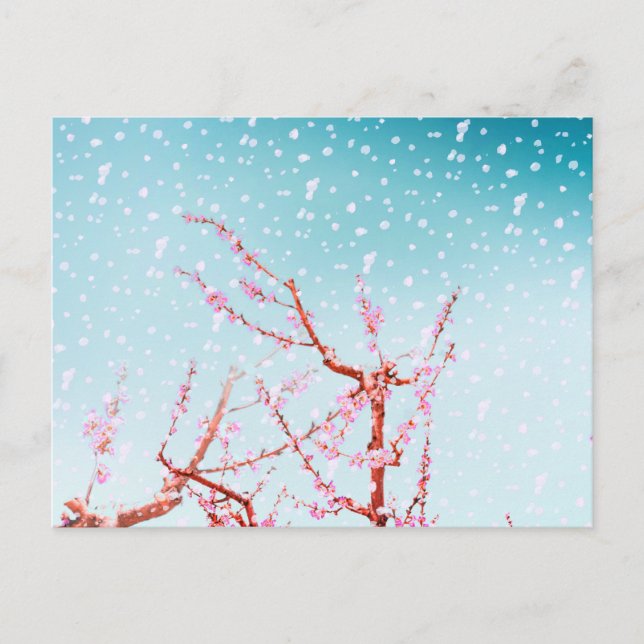 Postal Flor rosa y pétalos voladores (¿o nieve?) (Anverso)