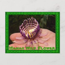 Postal Flor salvaje Hawaii