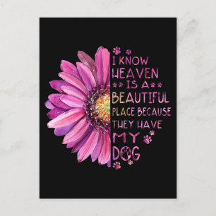 Postal Flor Sé Que El Cielo Es Un Lugar Hermoso Paws Perr