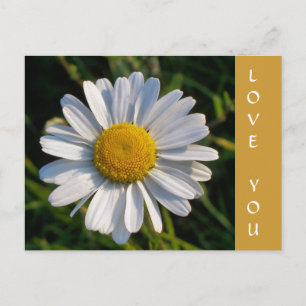 POSTAL FLOR SILVESTRE