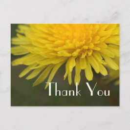 Postal flor silvestre amarillo bonito dandelion gracias