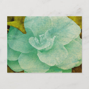 Postal Flor Texturizada de Shirley Taylor