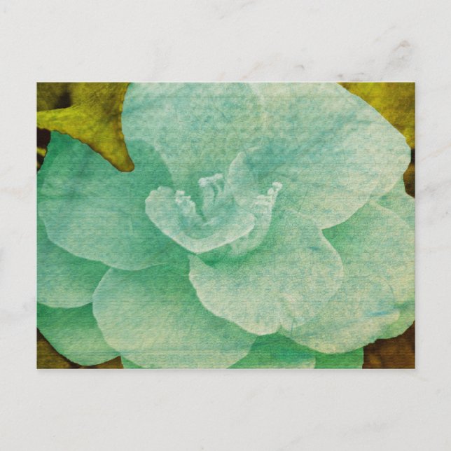 Postal Flor Texturizada de Shirley Taylor (Anverso)