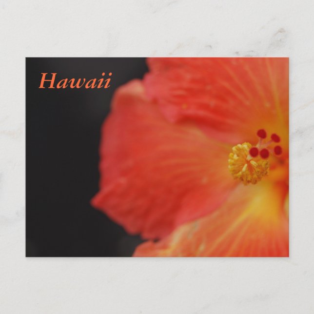 Postal Flor tropical hawaiana (Anverso)