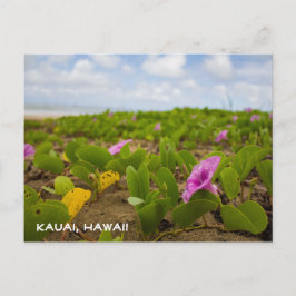 Postal Flor Tropical Hawaii Beach | Postcard de Kauai