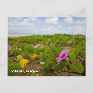 Postal Flor Tropical Hawaii Beach Postcard de Kauai