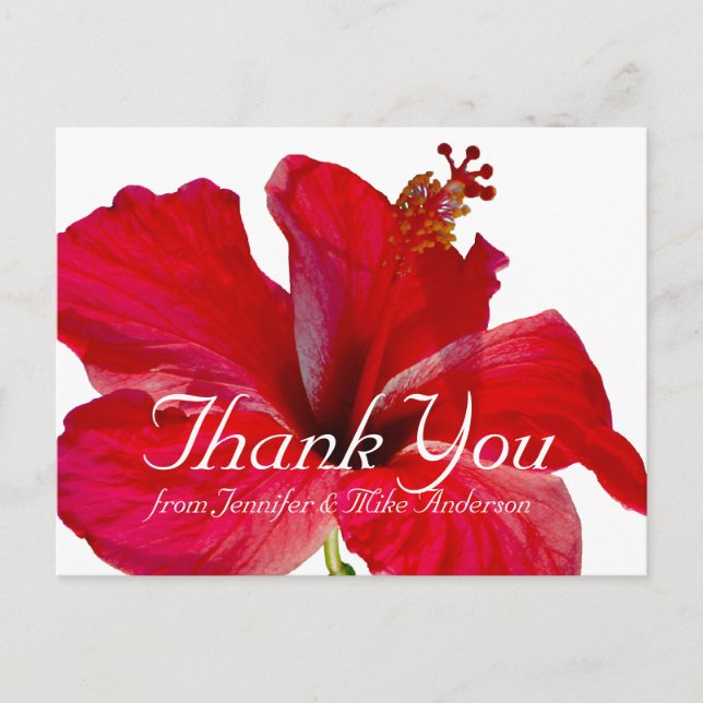 Postal Flor Tropical Roja Hibiscus Gracias (Anverso)