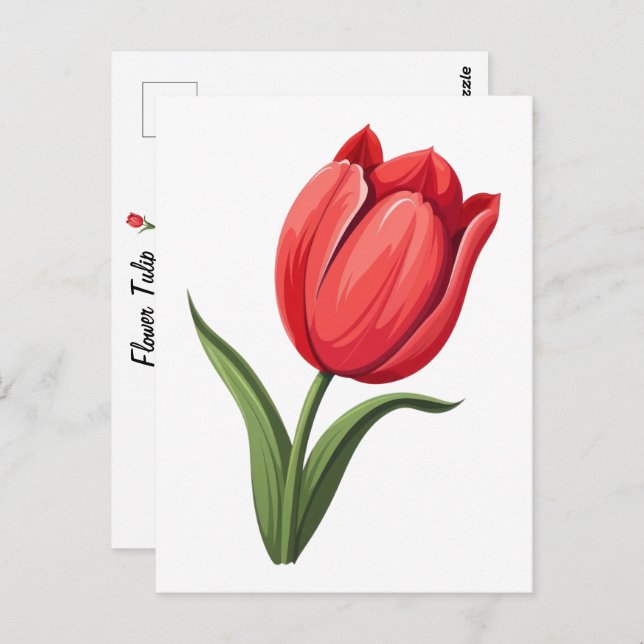 Postal Flor Tulipán (Anverso / Reverso)