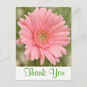 Postal Flor verde gracias margarita gerbera flor de marga