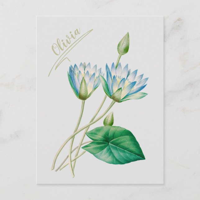 Postal Flor vintage egipcia Lotus (Anverso)