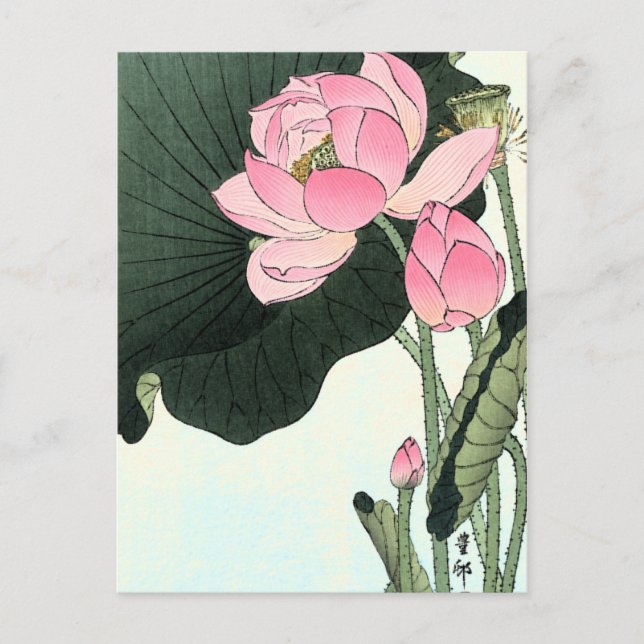 Postal Flor vintage japonesa Lotus (Anverso)