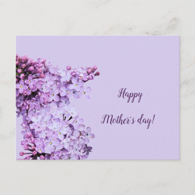 Postal Flor violeta de Lilac (Anverso)