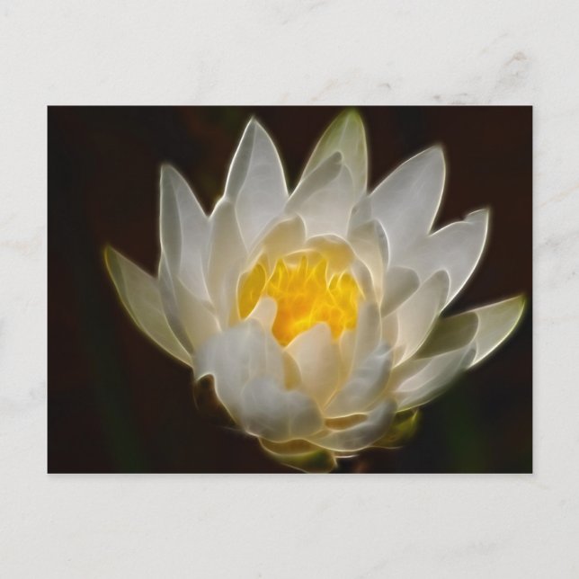 Postal Flor y significado de Lotus (Anverso)