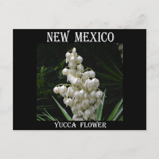 Postal Flor Yucca de Nuevo México