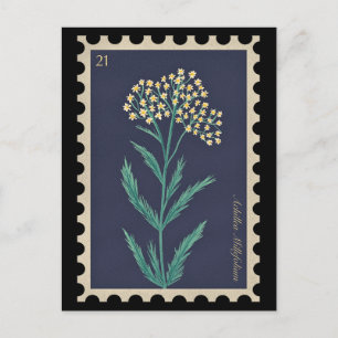Postal Flora de Achillea millefolium vitícola