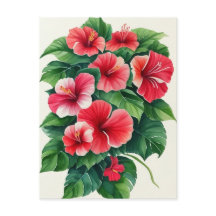 Flora Tropical Luz Roja Hibiscus