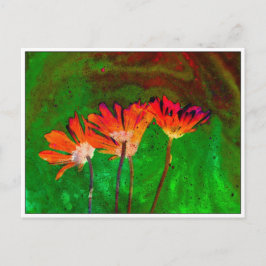 Postal Floral