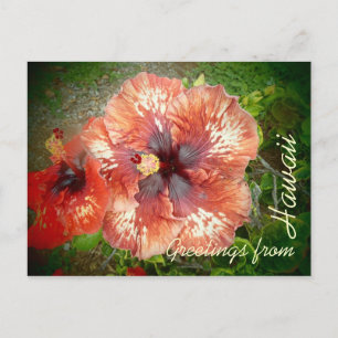 Postal floral colorida de hibisco híbrido rojo