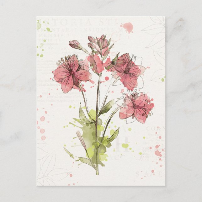 Postal Floral Dark Pink Splash (Anverso)