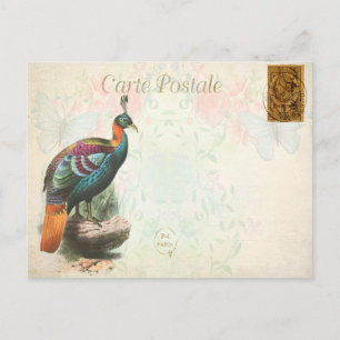 Postal Floral de aves exóticas de color vintage