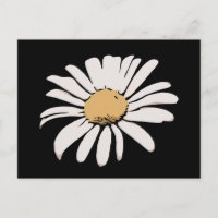 Postal floral de margarita negra