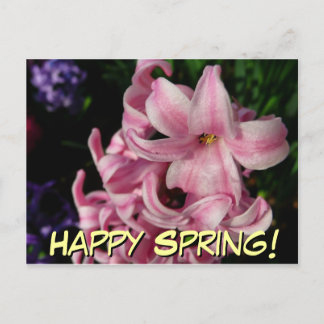 Postal Floral de primavera de Hyacint rosado
