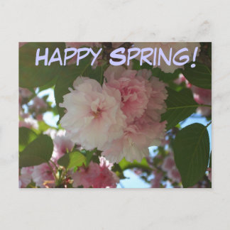 Postal Floral de primavera del árbol de cerezo doble flor
