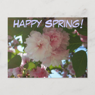 Postal Floral de primavera del árbol de cerezo doble flor