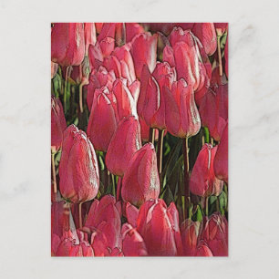 Postal Floral de tulipanes rosados