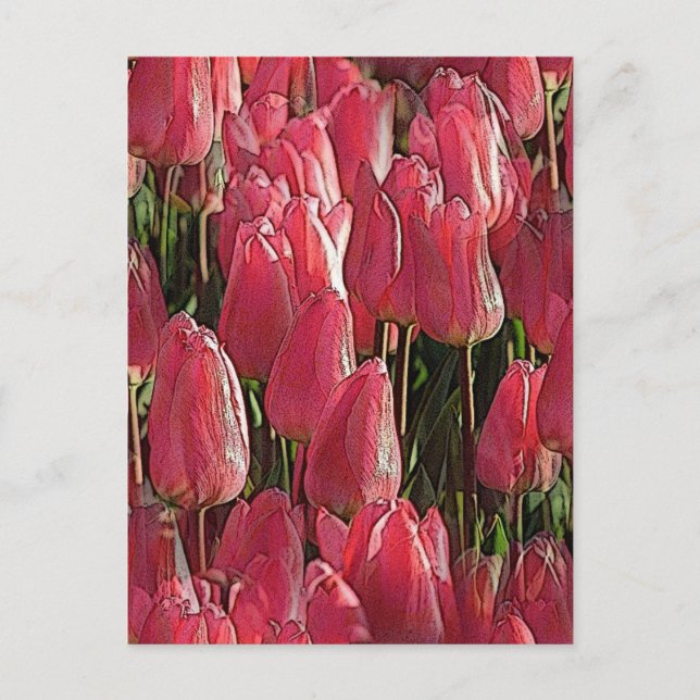 Postal Floral de tulipanes rosados (Anverso)