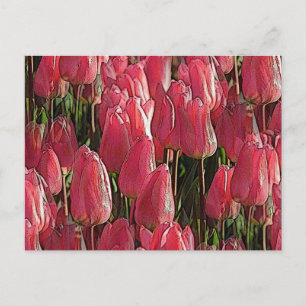 Postal Floral de tulipanes rosados