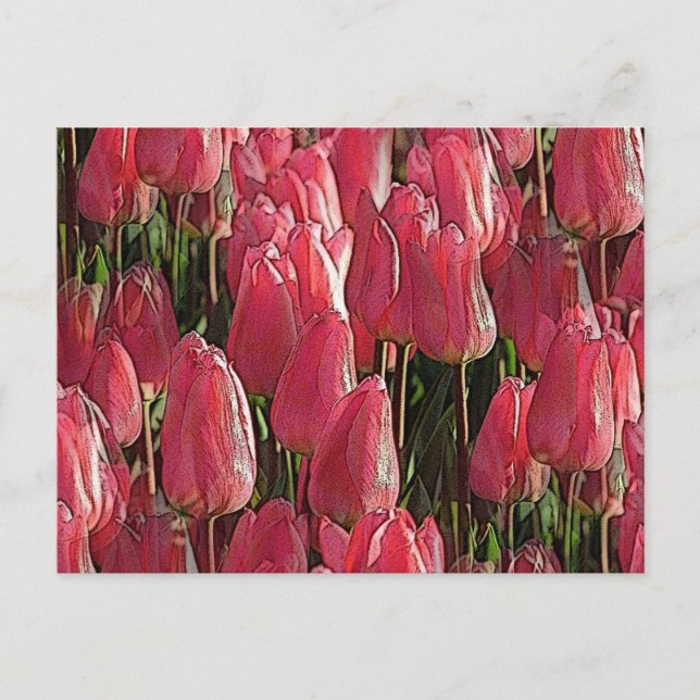 Postal Floral de tulipanes rosados (Anverso)