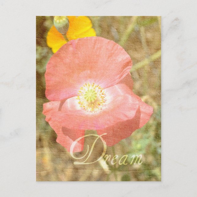 Postal floral Dream Poppy (Anverso)