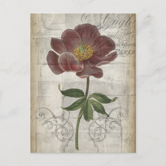 Postal Floral francesa I (Anverso)