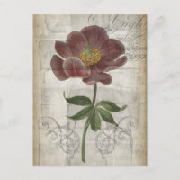 Floral francesa I