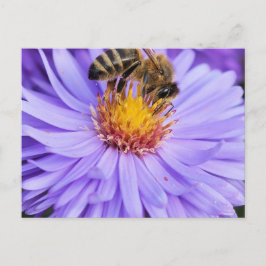 Postal Floral Garden Park Peace Love