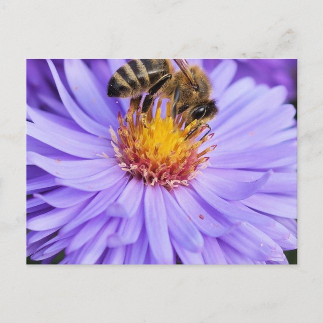 Postal Floral Garden Park Peace Love (Anverso)