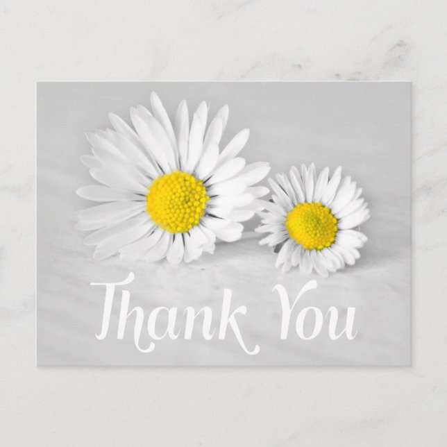 Postal Floral Gracias Daisies Blancos Flores Gris (Anverso)