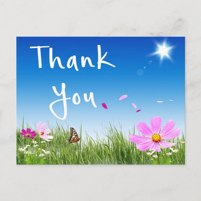 Postal Floral Gracias Daisy Butterfly Wildflowers (Anverso)
