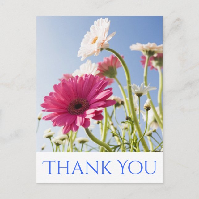 Postal Floral Gracias Flor Rosa y Blanca Gerbera Daisy (Anverso)