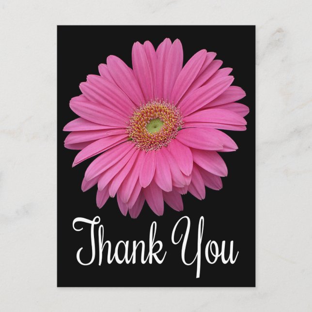 Postal Floral Gracias Gerbera Rosa Daisy Flor Negra (Anverso)