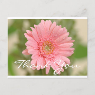 Postal Floral Gracias Gerbera Rosa Daisy Flower