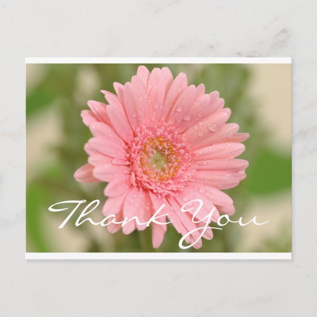 Postal Floral Gracias Gerbera Rosa Daisy Flower (Anverso)