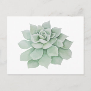 Postal Floral Gracias Mint Green Suculent Cactus